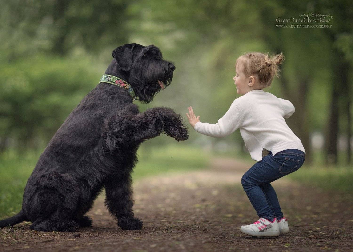 , Андрей Селиверстов