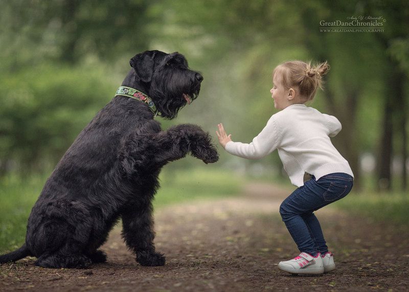 Привет! фото превью