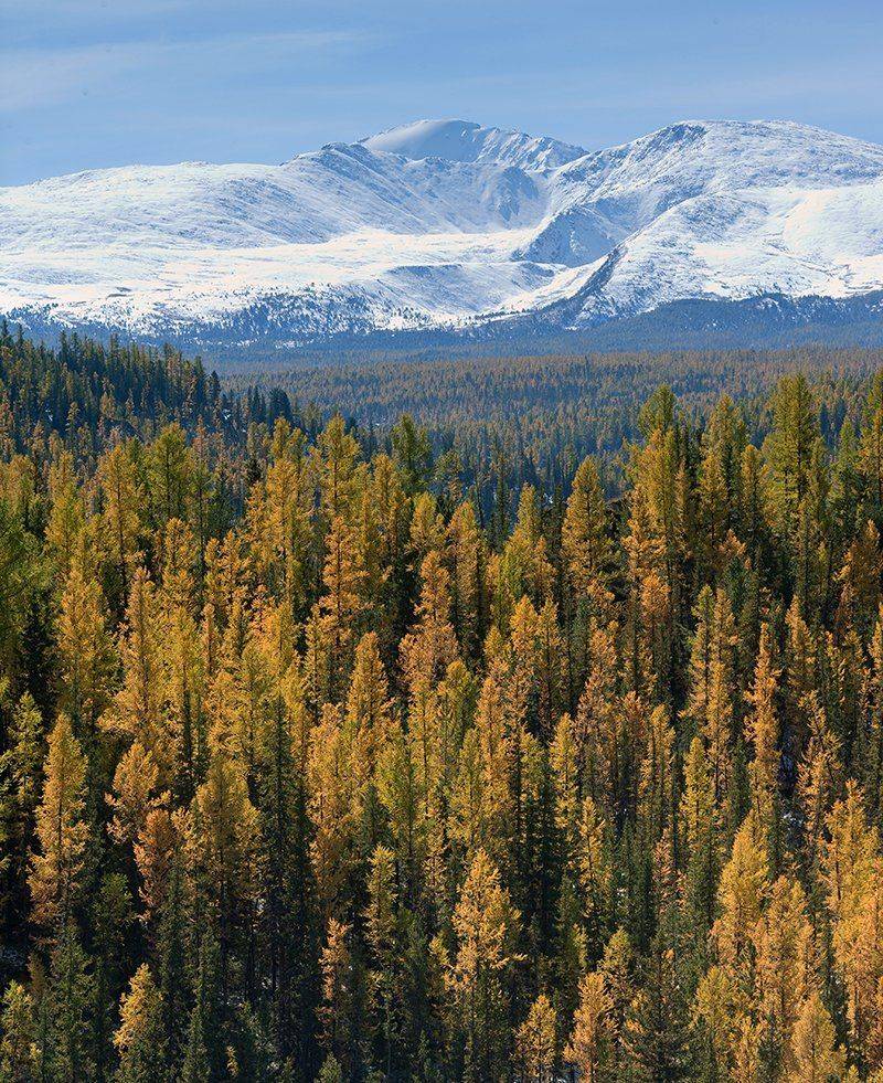 , Алексей Родак