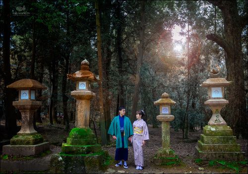 В сказочном парке