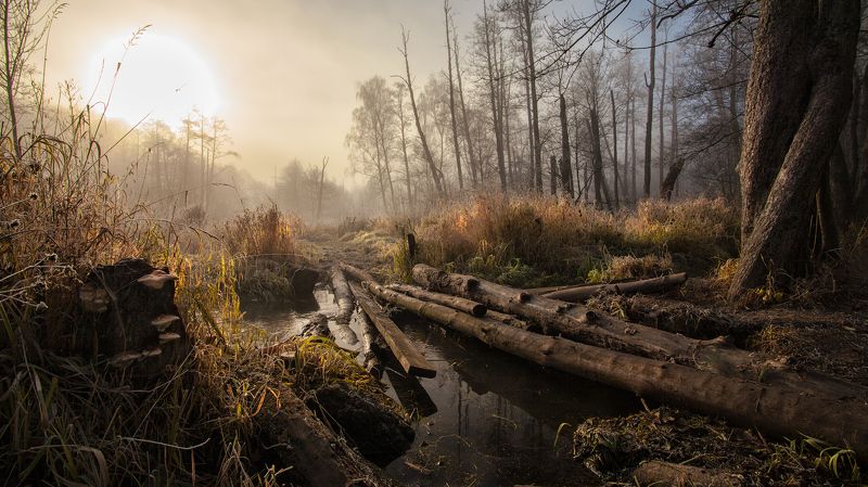 Здесь бродит ноябрь... фото превью