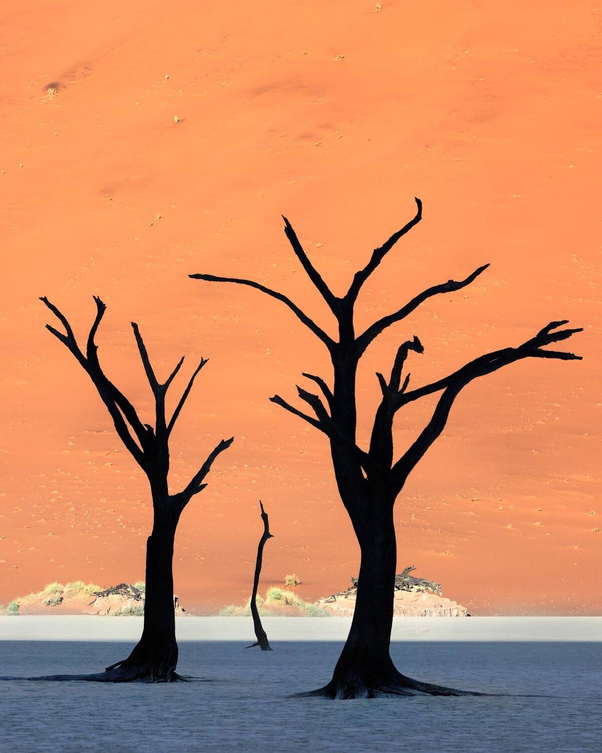 acacia, Africa, african, arid, beautiful, blue, branch, camelthorn, clay, day, daylight, dead, deadvlei, desert, drought, dry, dune, famous, forest, hot, lake, landmark, landscape, morning, namib, namibia, namibian, national, nature, naukluft, orange, out, Andrey Omelyanchuk