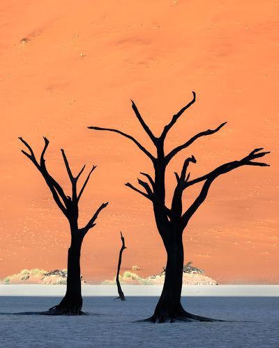 Dead Acacia Trees and Red Dunes of Deadvlei