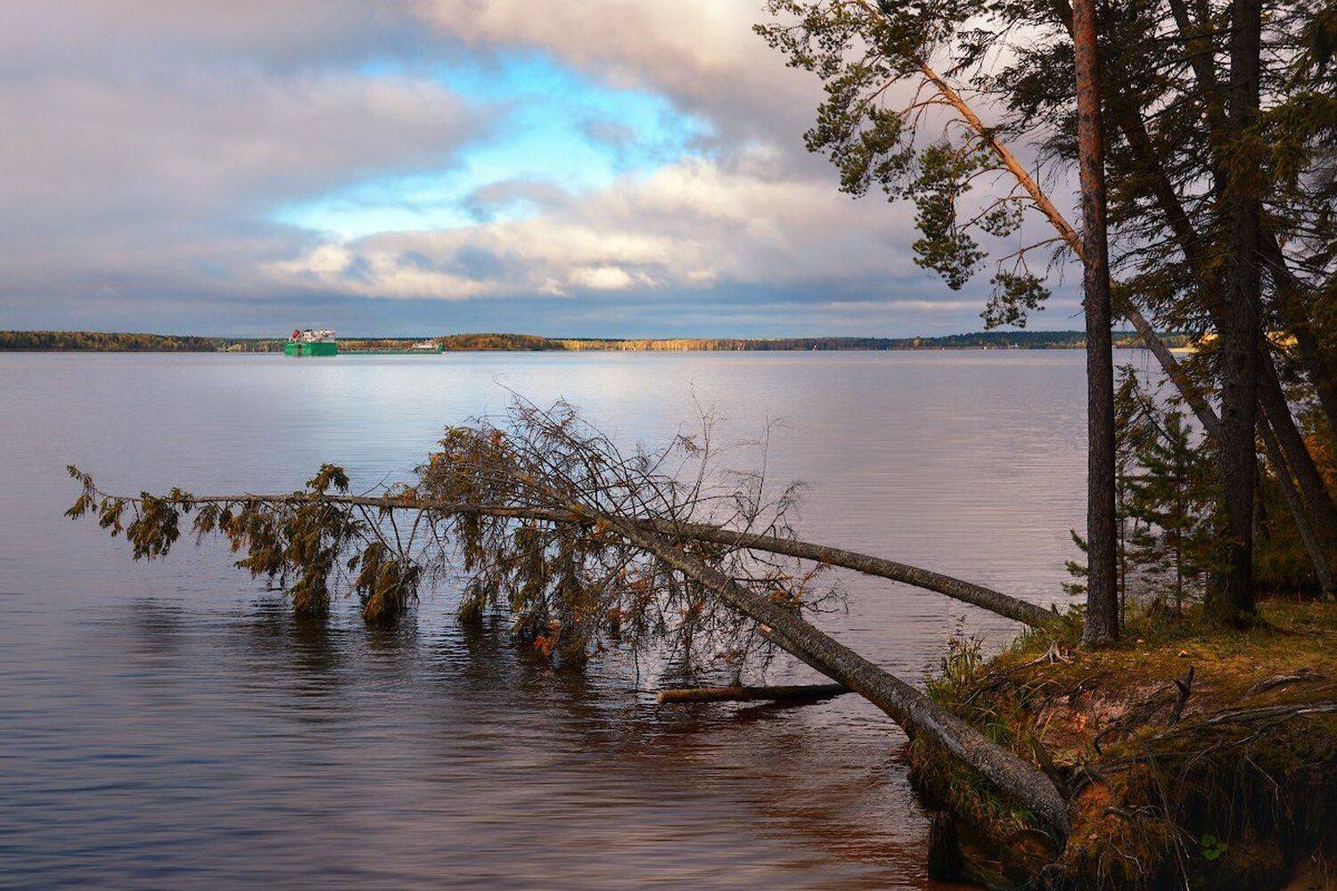 , Марина Никифорова