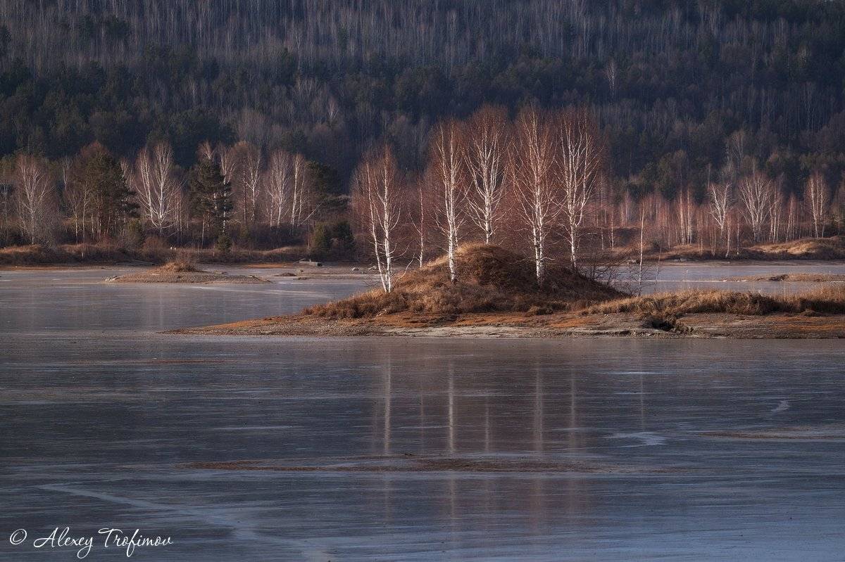 , Алексей Трофимов