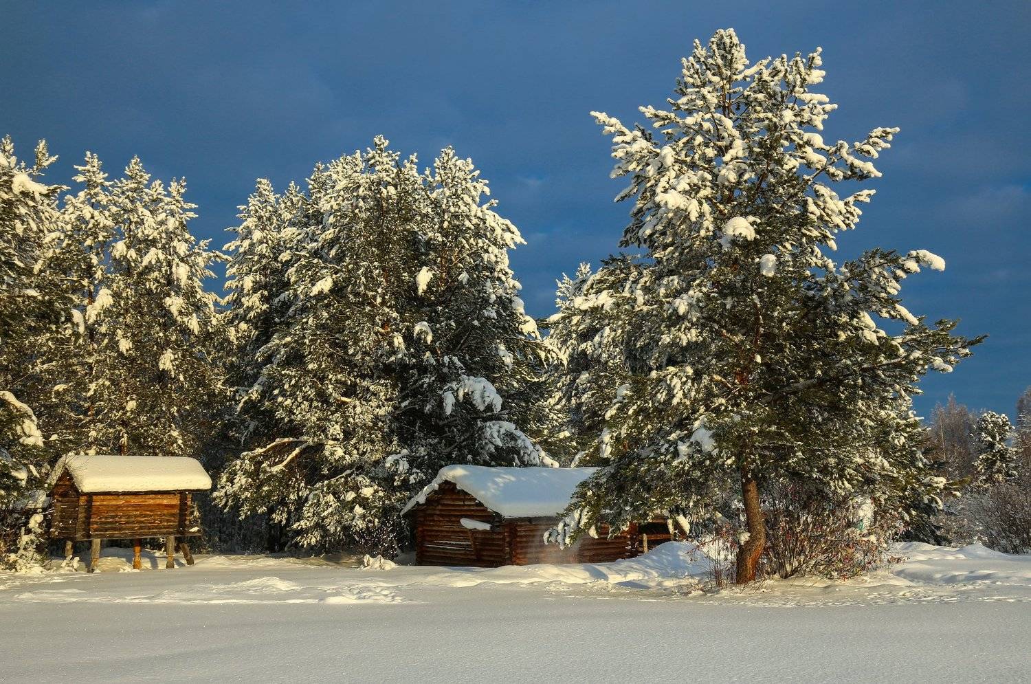 зима, снег, свет, цвет, мороз, музей,, Татьяна Борисова
