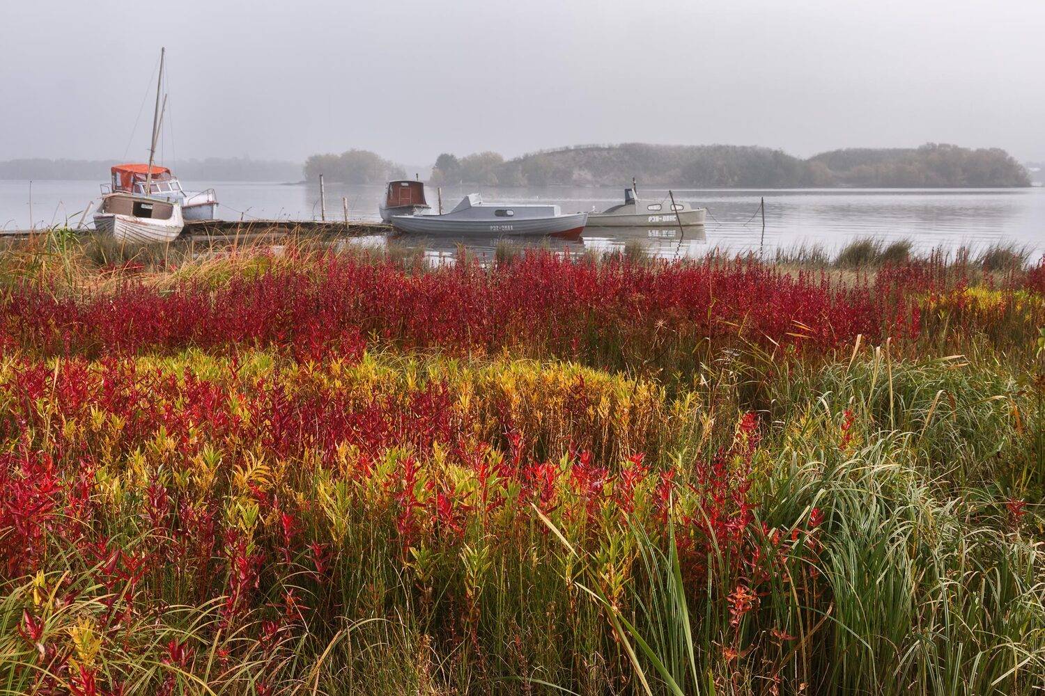 осень туман река кузнечиха берег трава катера мостки соломбала архангельск, Ра Вера