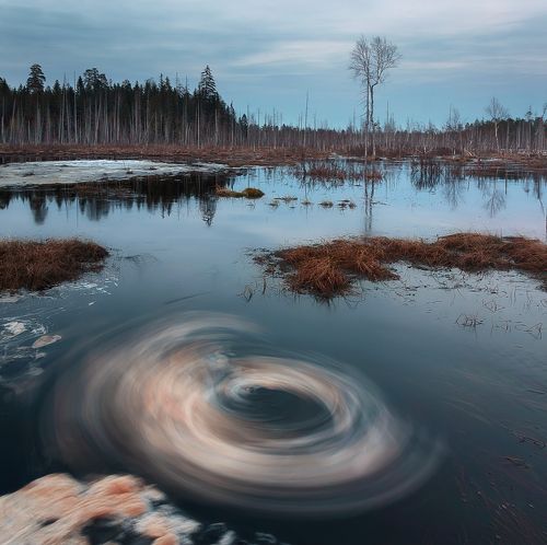 болотный омут