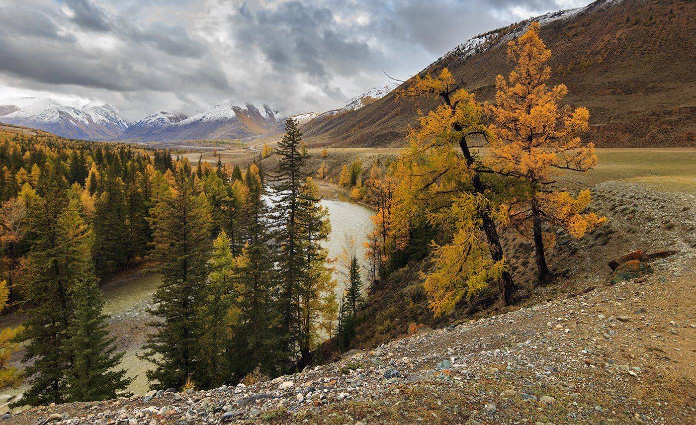 , Дмитрий Д.