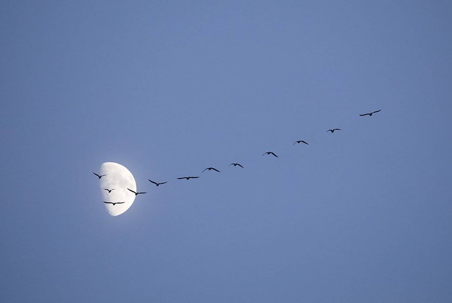 , Иваненко Светлана