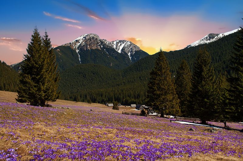 Valley фото превью