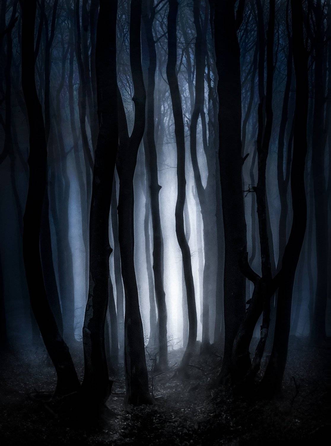 , Тодор Танев