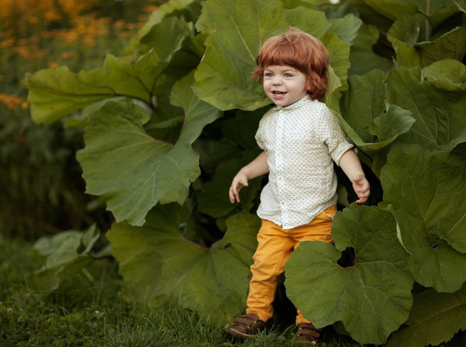 , Ирина Абрамова