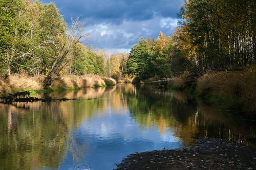 Pro позитивную осень