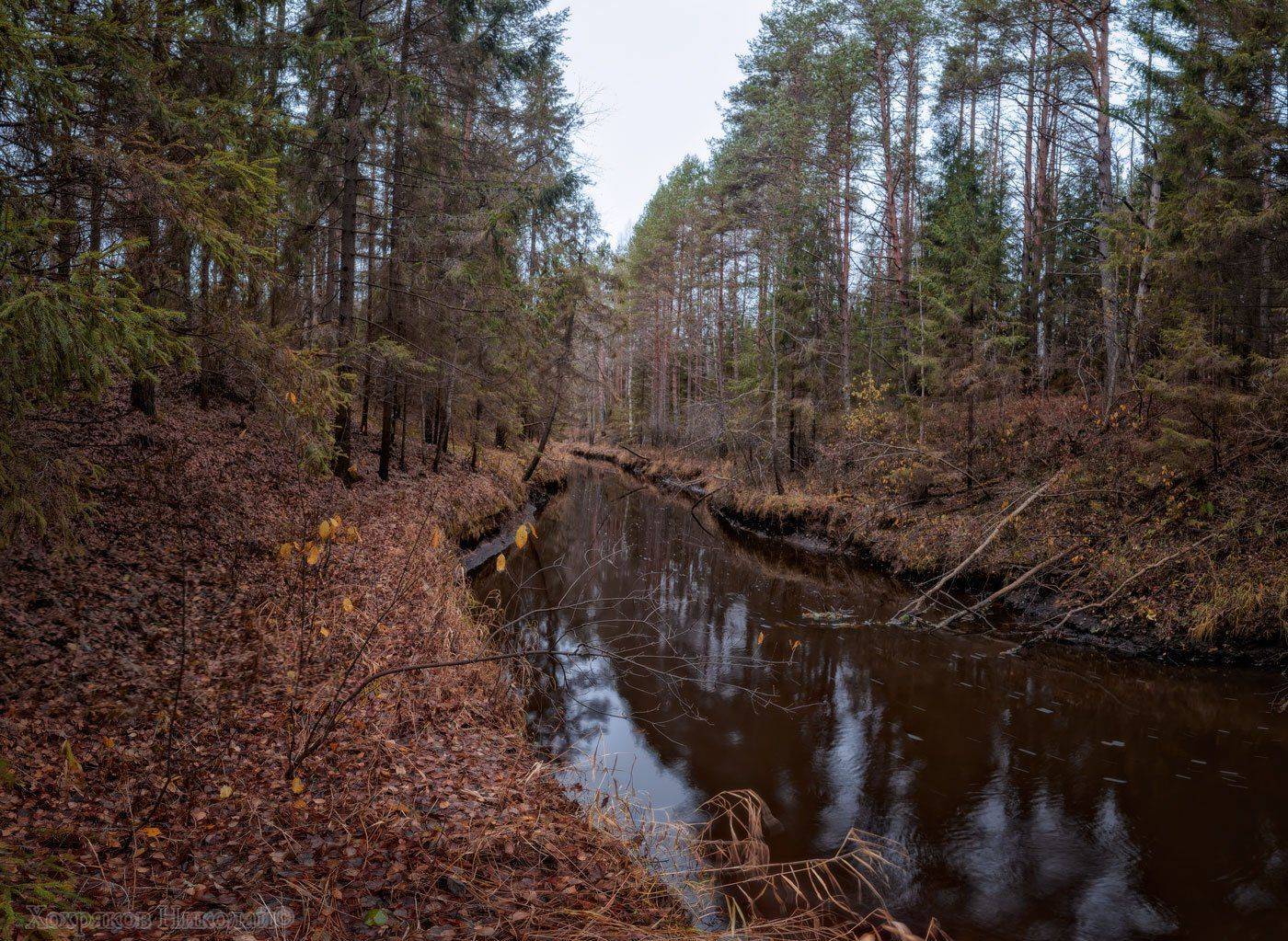 , Хохряков Николай