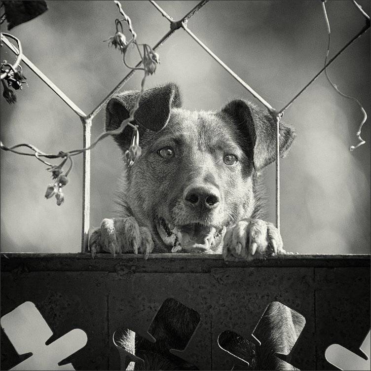 , Сергей Фудиненко