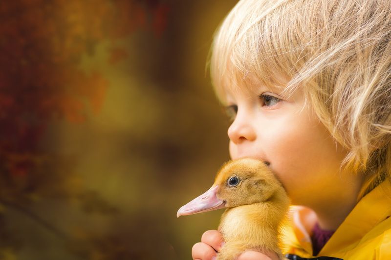 ребенок, мальчик, дети, портрет, глаза, эмоции, children, boy, детский фотограф, утята, ребята и утята  фото превью