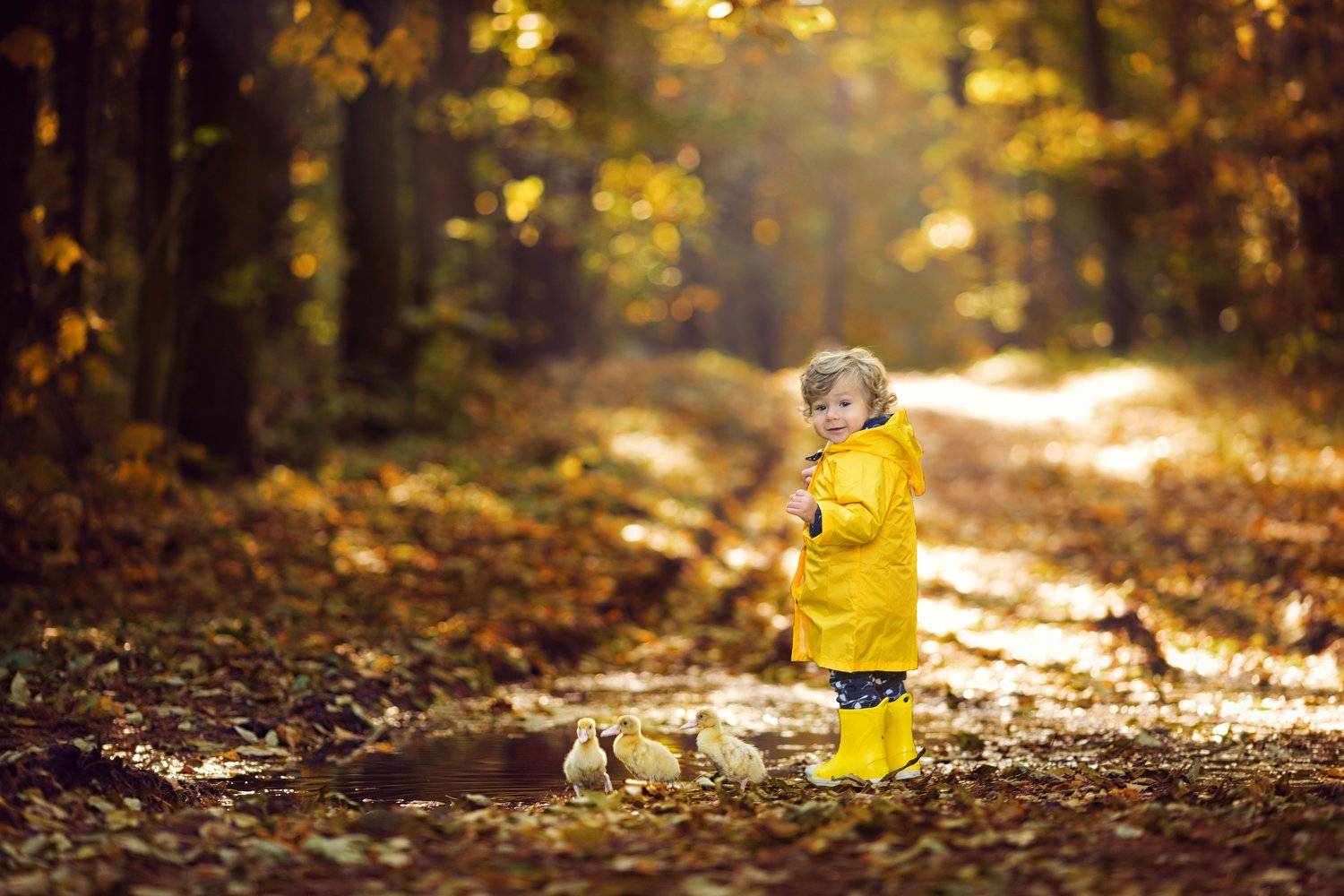 ребенок, мальчик, дети, портрет, глаза, эмоции, children, boy, детский фотограф, утята, ребята и утята, Новицкая Татьяна
