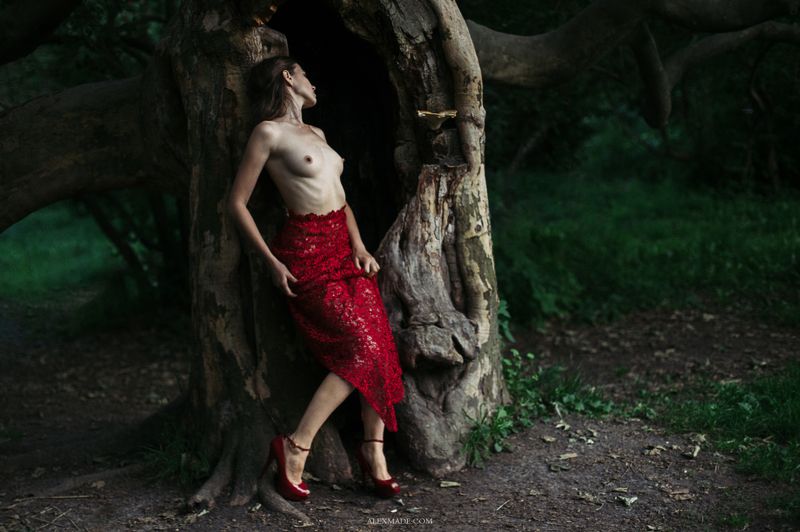 фото превью