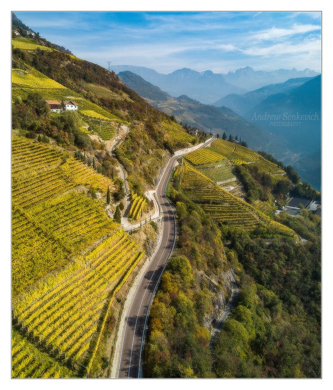 виноградник, дорога, горы Dream Road фото превью