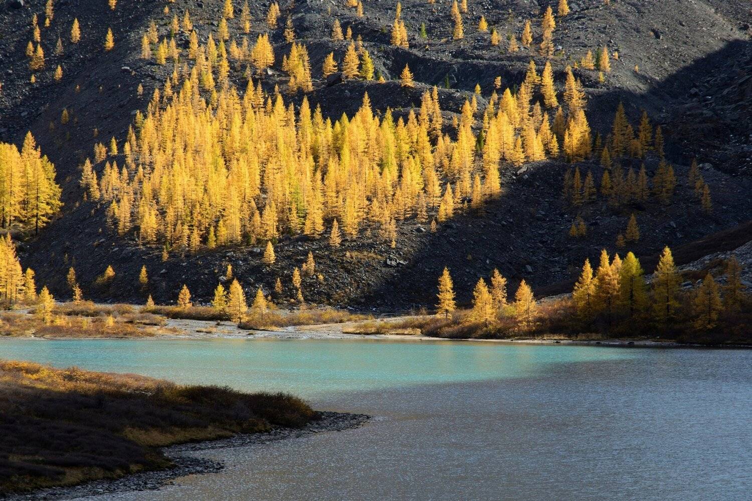алтай,осень, Алексей Кретов