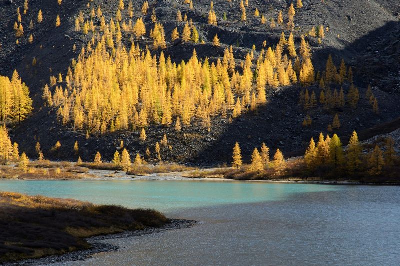 алтай,осень этот зажигательный осенний ритм фото превью