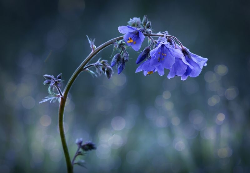 Вспоминая лето фото превью