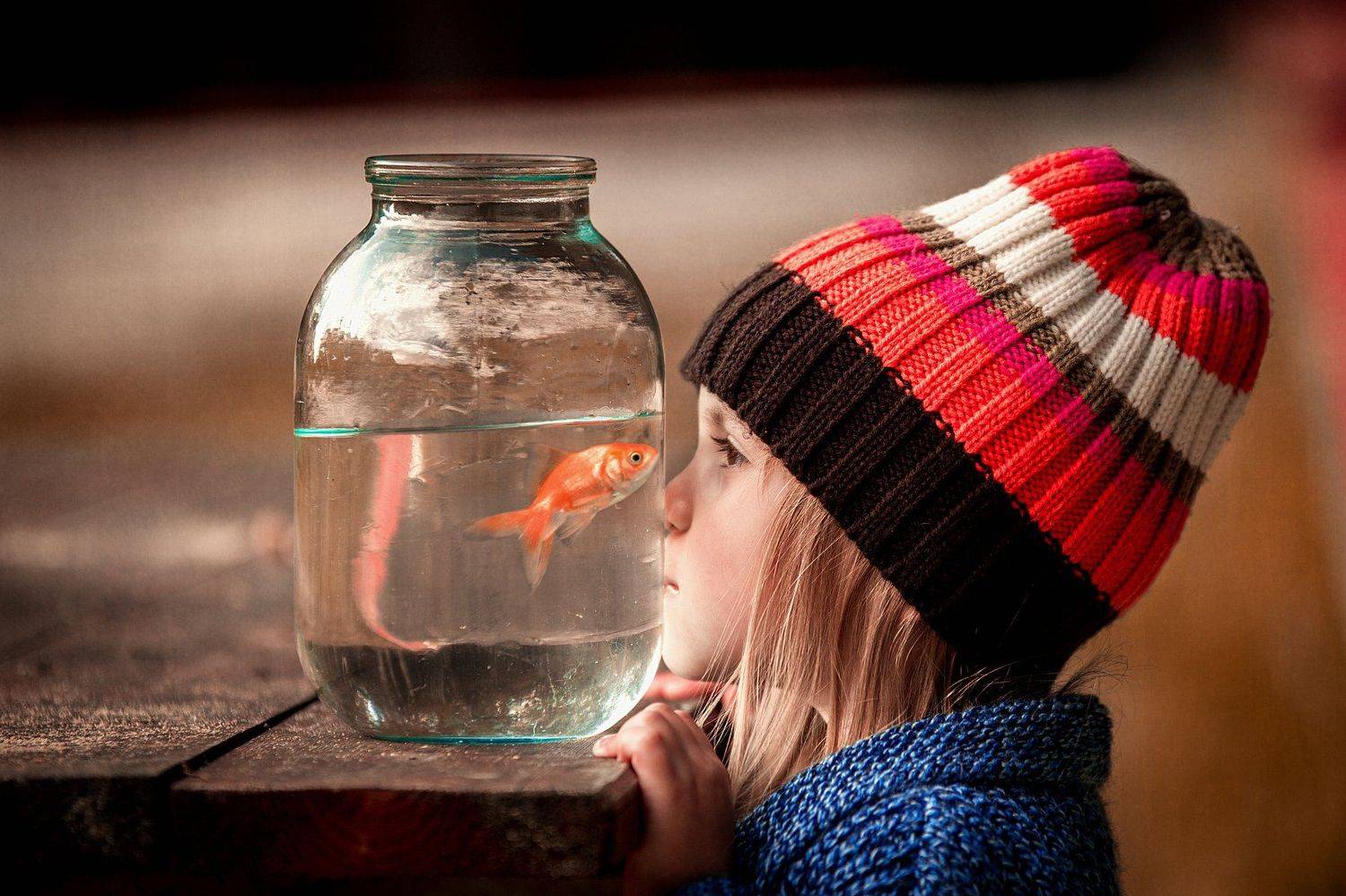 детское фото, портрет, малыш, дети, ребенок, детский портрет, на природе, аквариум, девочка, на улице, рыбка, зверушка, Сухарь Александр