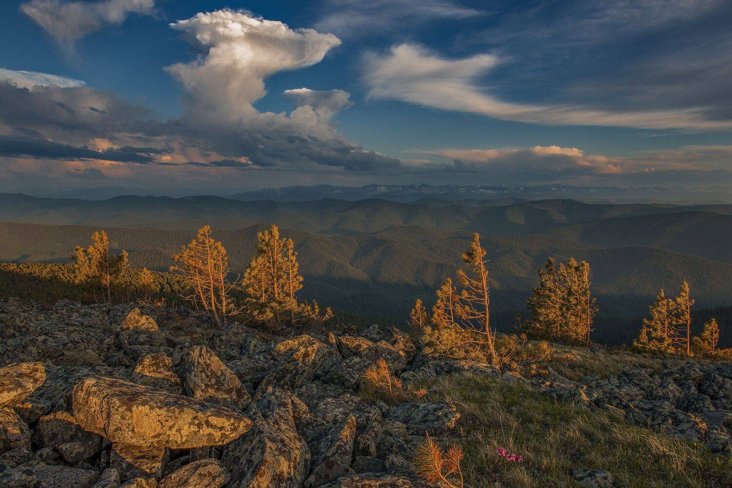хакасия, Александр Макеев