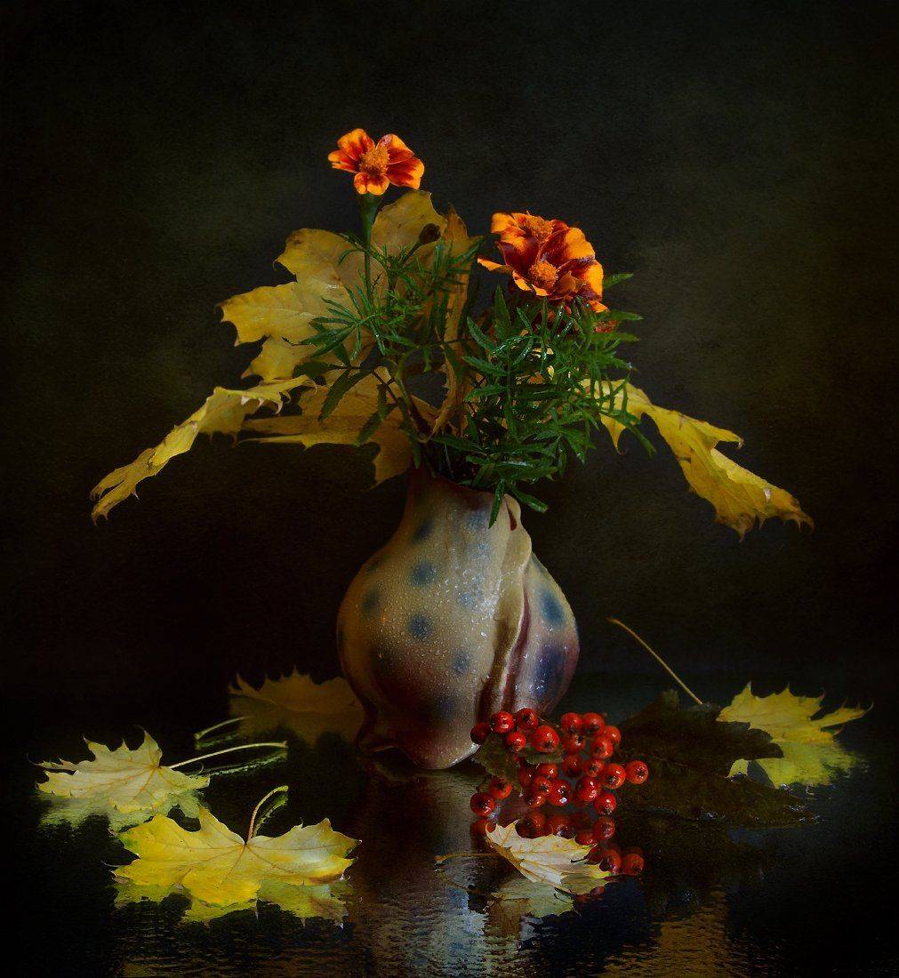 , Елена Брежицкая