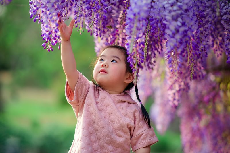 Purplevine фото превью