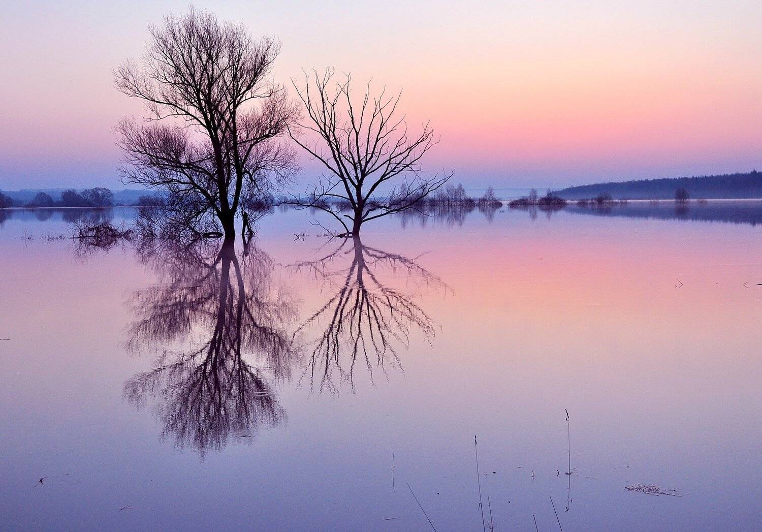 река,, Макеев Алексей