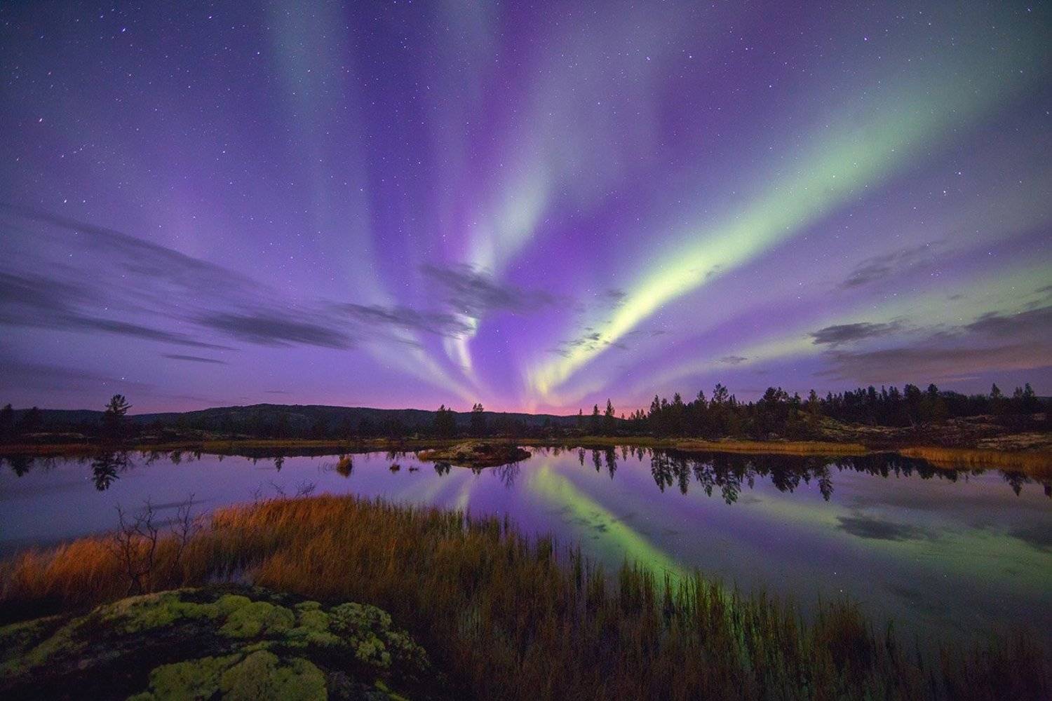 кольский п-ов, полярное сияние, северное сияние, пейзаж, природа, Любовь Трифонова