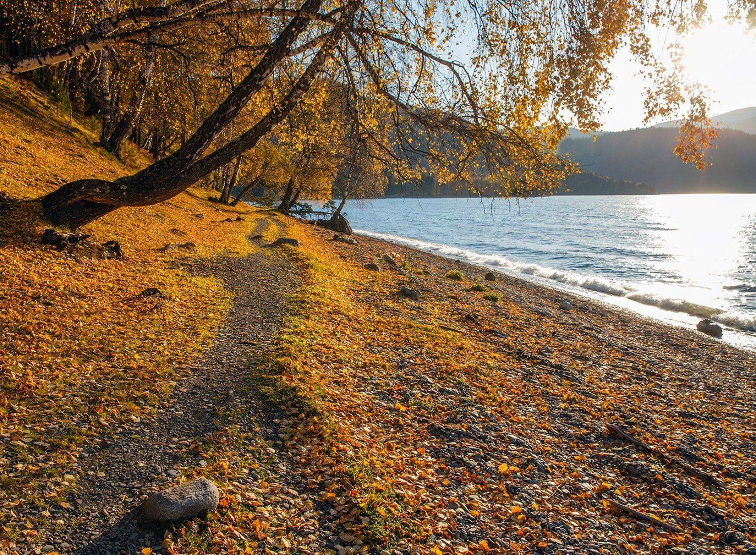 , Юрий Фролов