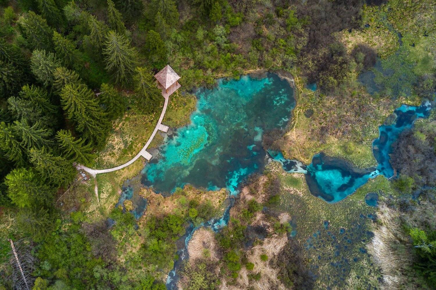 озеро, словения, квадрокоптер, slovenia, aerial, drone, zelenci, Василий Яковлев