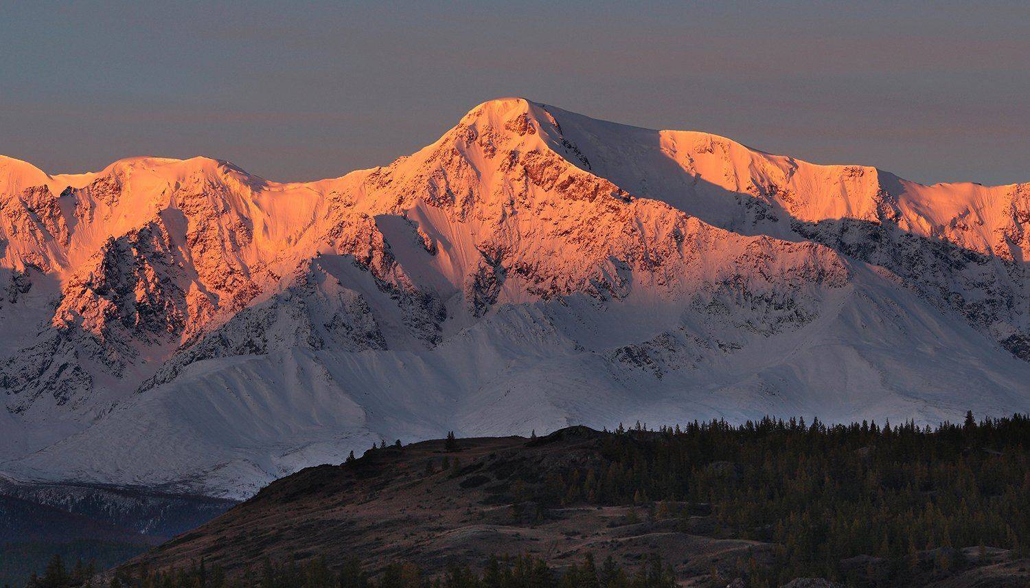 , Алексей Родак