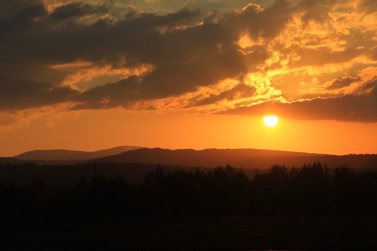 , Алексей Рыльский