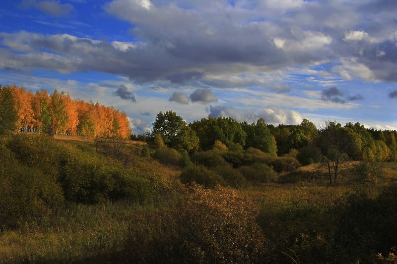 Пейзаж,золотая осень   фото превью