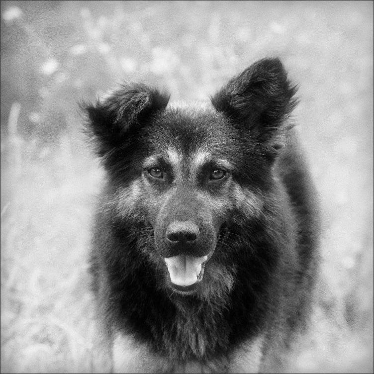 , Сергей Фудиненко