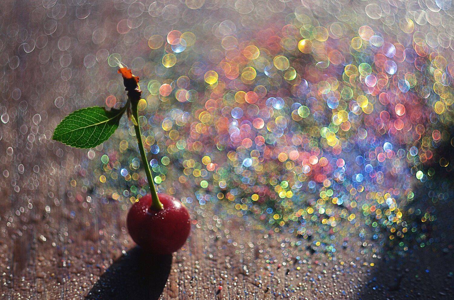 , Лапшина Владлена