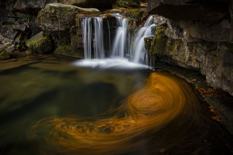 Embrión фото превью