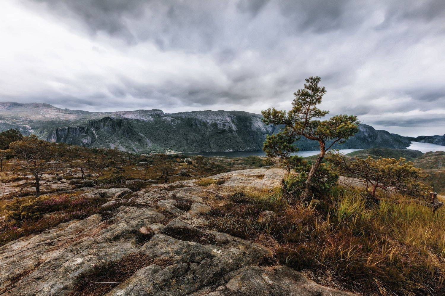 горы, фьорд, дерево, трава, небо, облака, Sven Rok