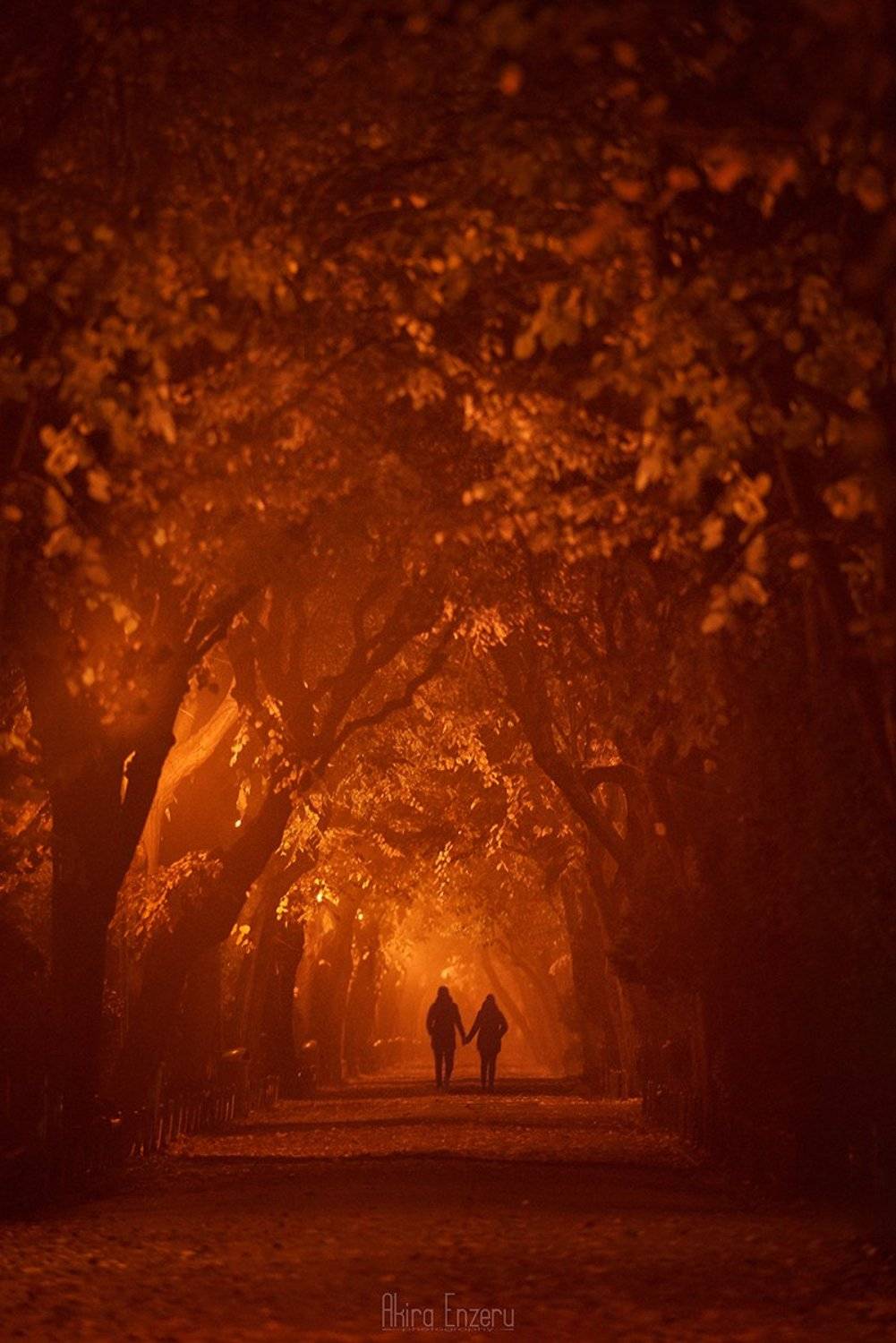 landscape, волшебная ночь, Enzeru Akira