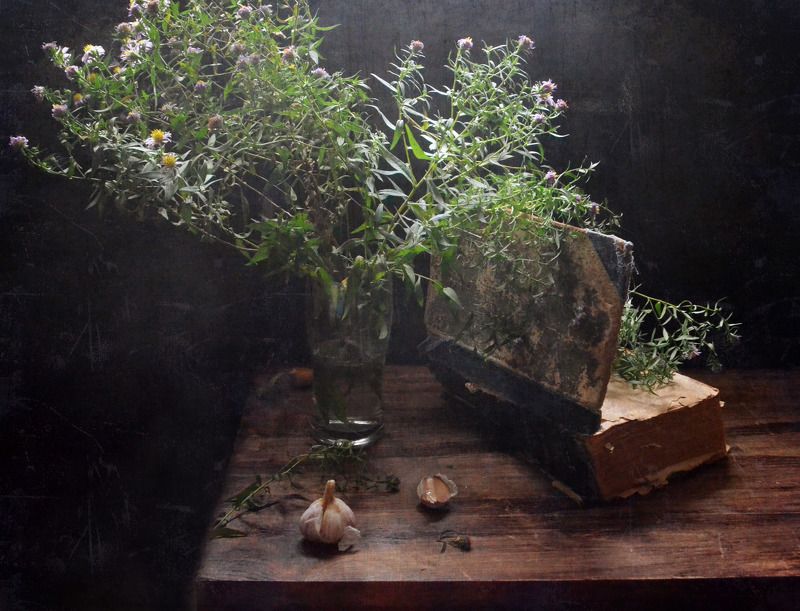 цветы, натюрморт, книга осенние цветы фото превью