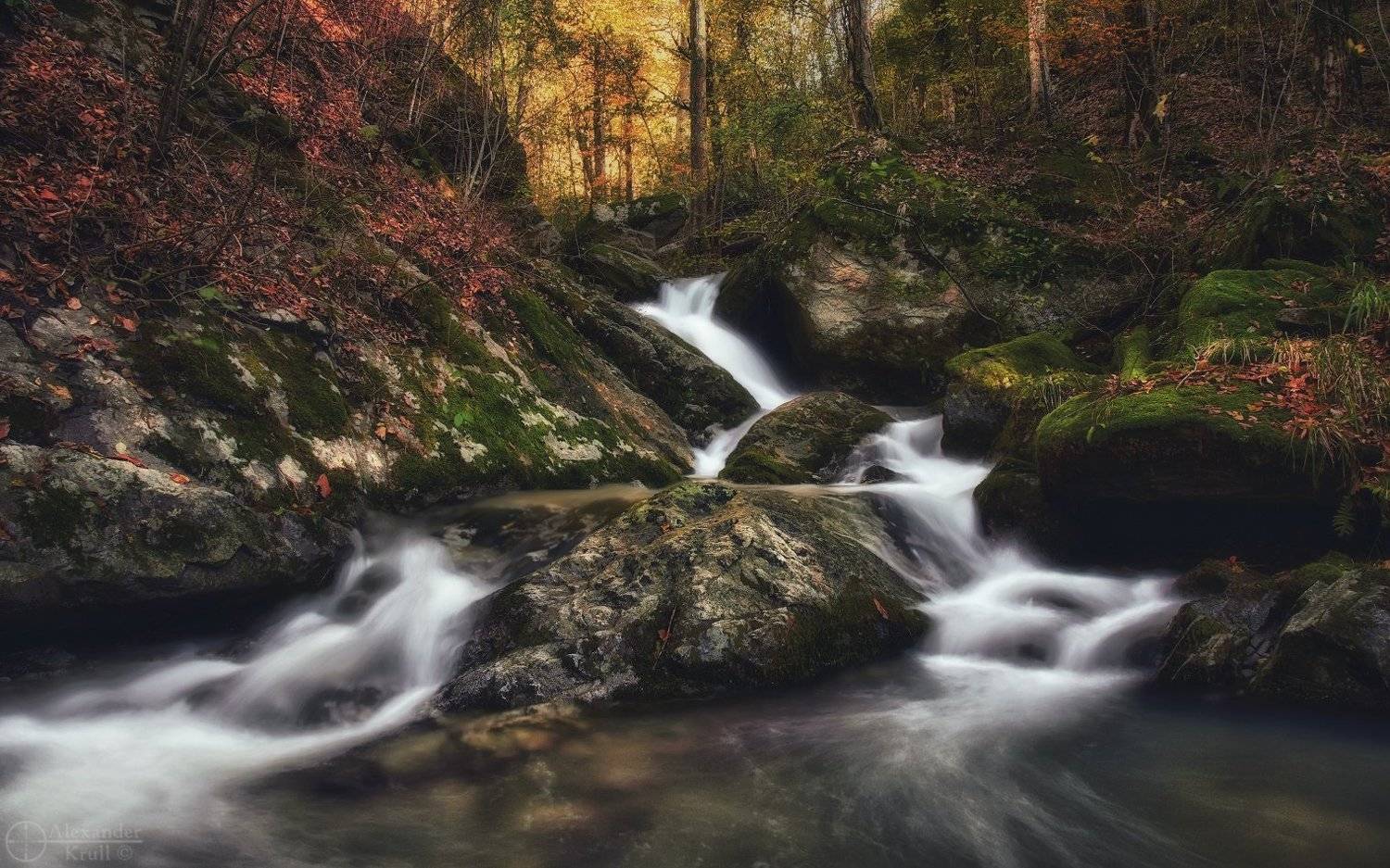 , Александр Круль