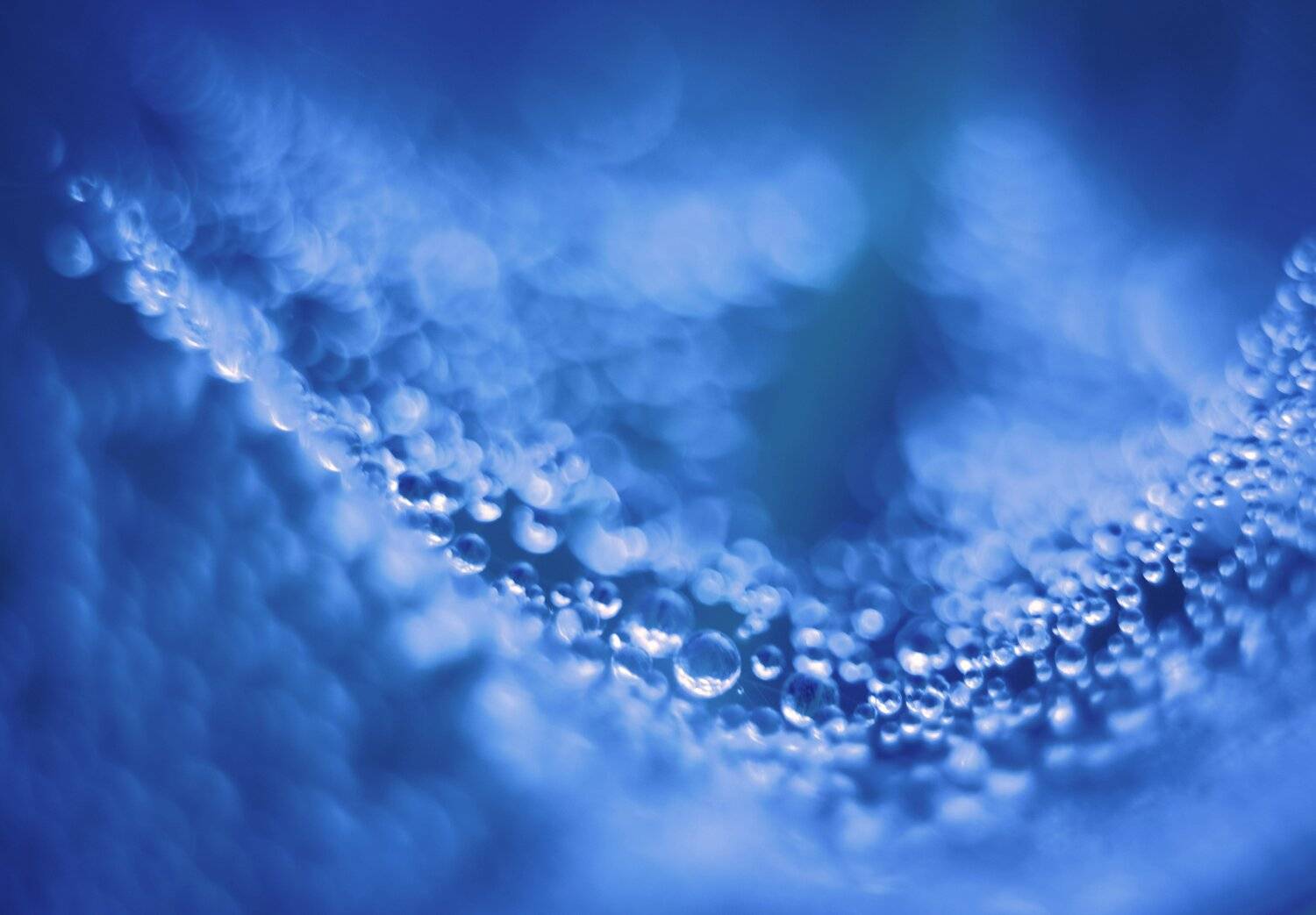 , Анастасия Павловская