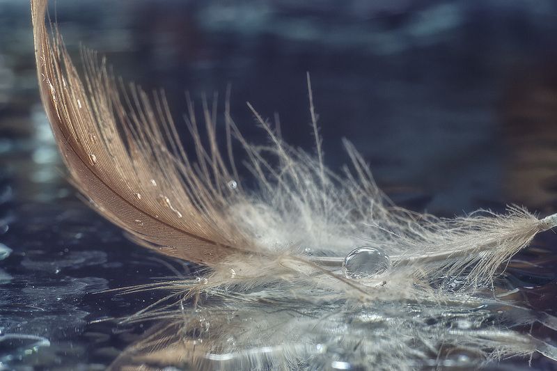 Фантазии на тему перышек фото превью