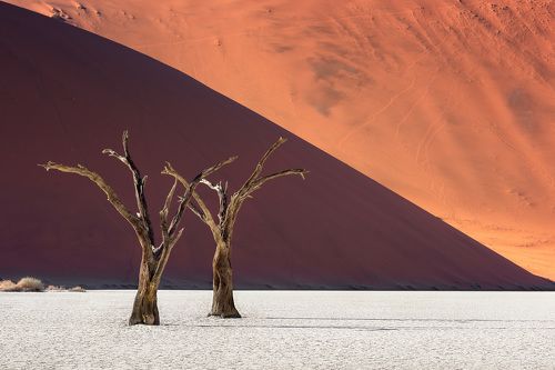 Dead Acacia Trees and Red Dunes of Deadvlei