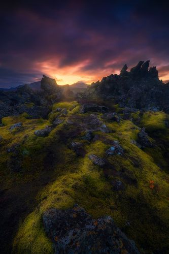 lava fields