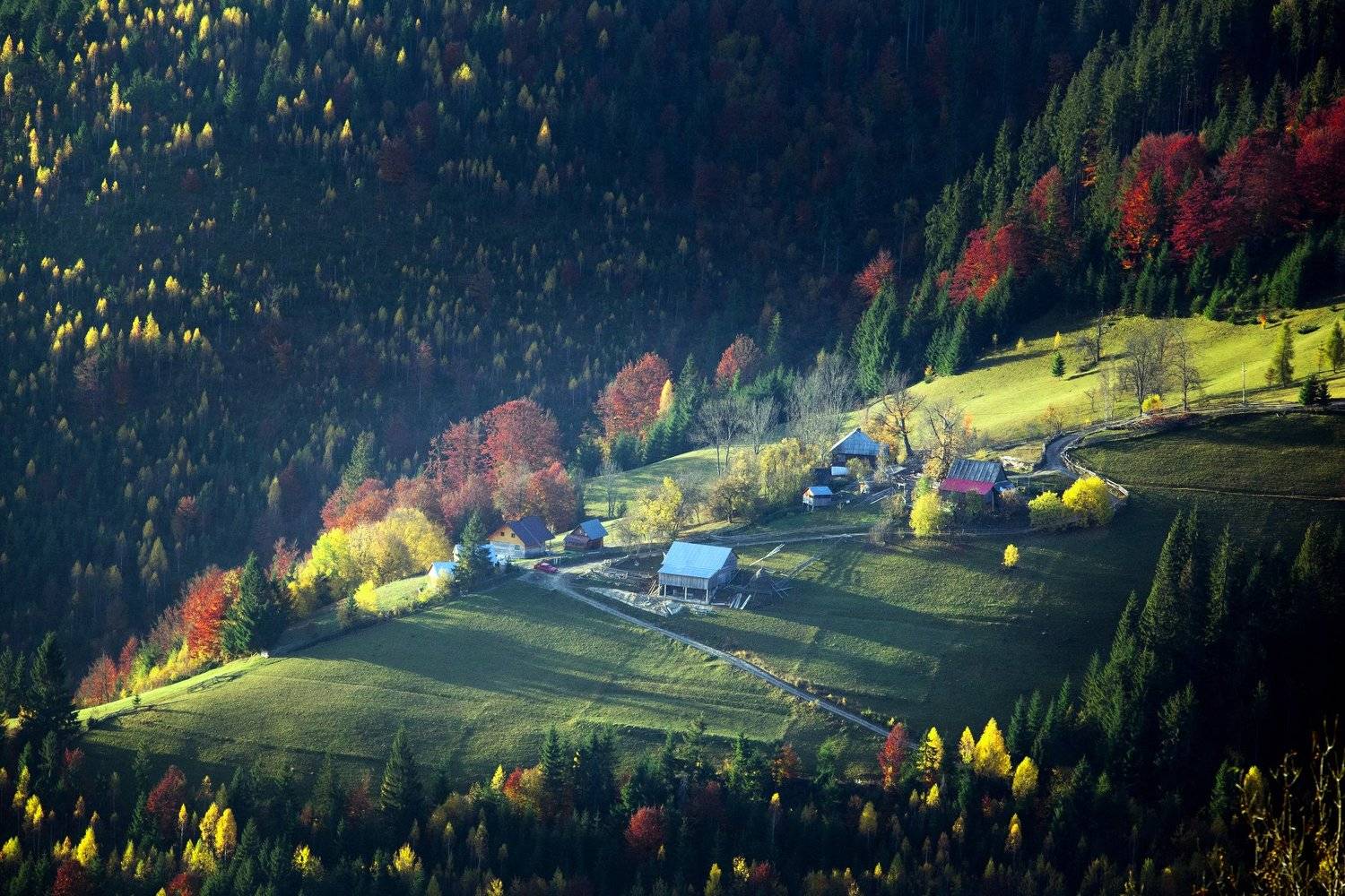 morning,light,autumn,hills,colors,fall,trees,house,, Marius Turc